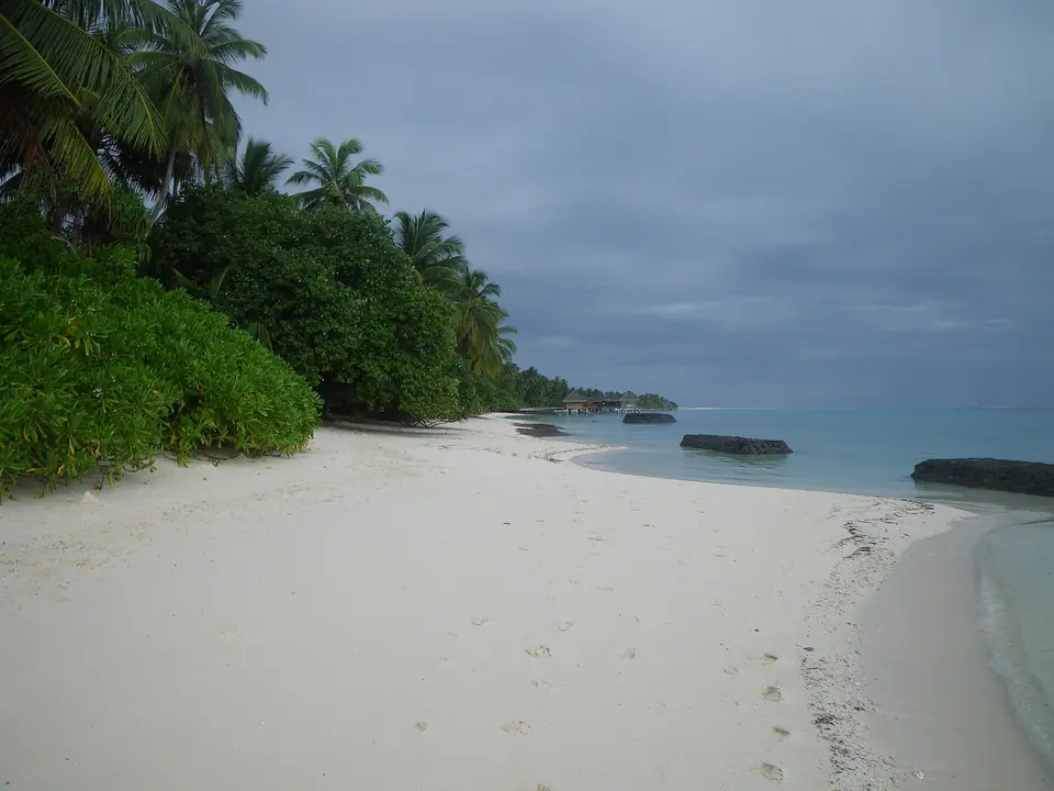 White sand beach on the lagoon side of Kuramathi island with calm turquoise water