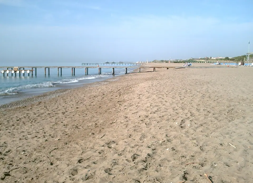 Sandy hotel beach with loungers and pine trees in Belek near Antalya