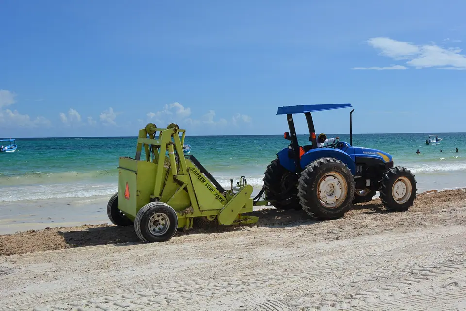 Workers using a tractor to clear brown sargassum seaweed from a beach in Tulum