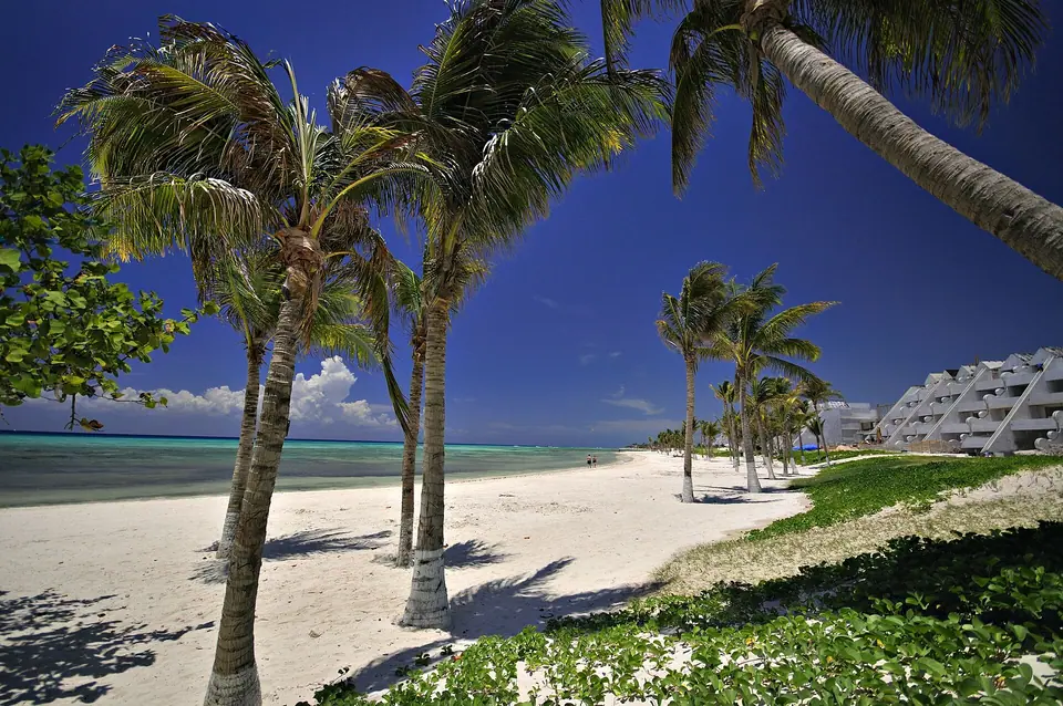 Palm trees and white sand in front of low resort buildings at Grand Velas Riviera Maya