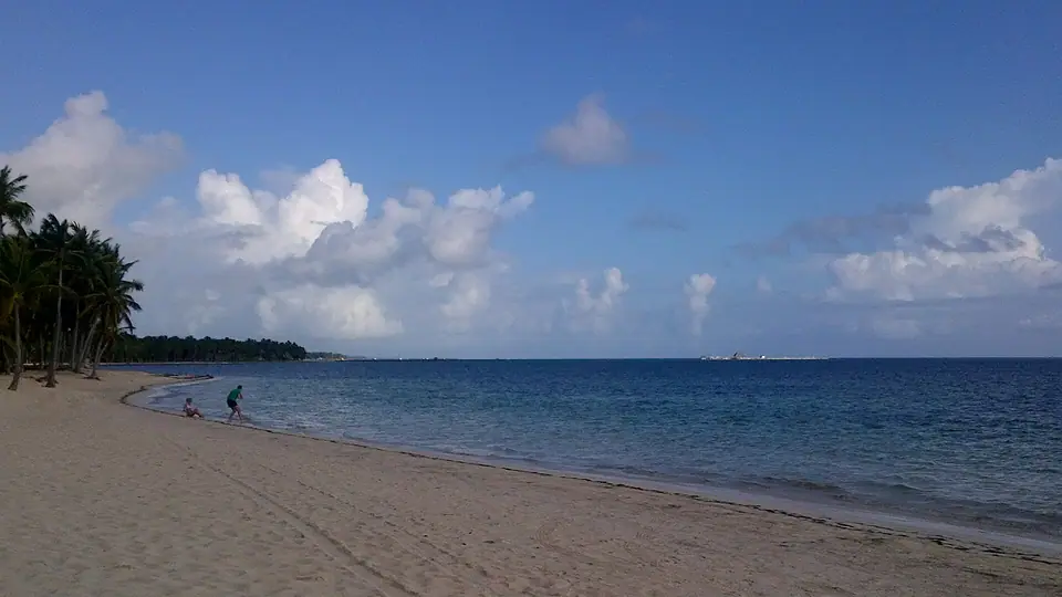 Quiet palm-lined beach with calm turquoise water in Punta Cana