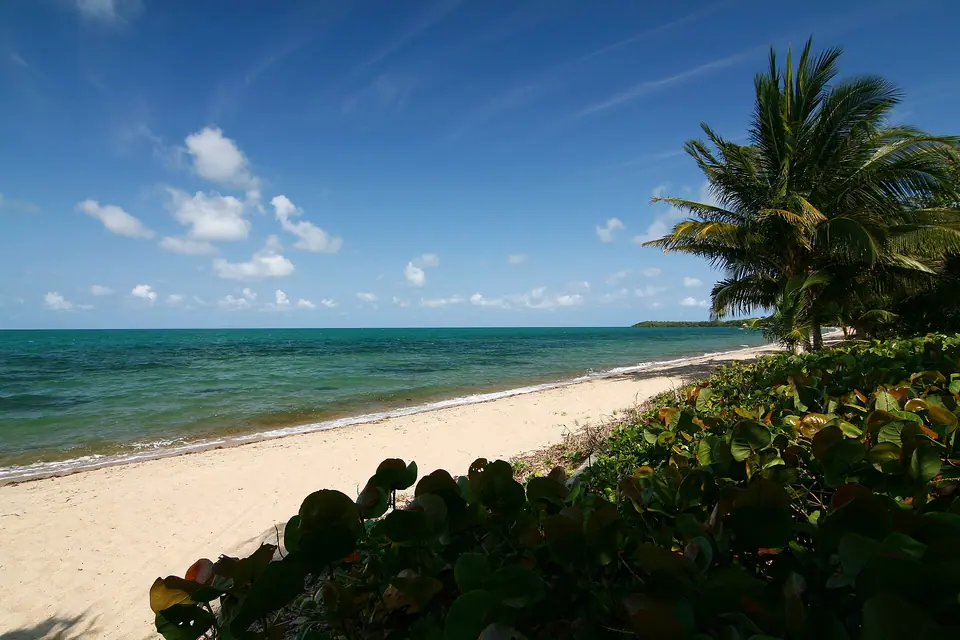 Palm-lined sandy beach at Almond Beach in Hopkins, Belize, with calm sea