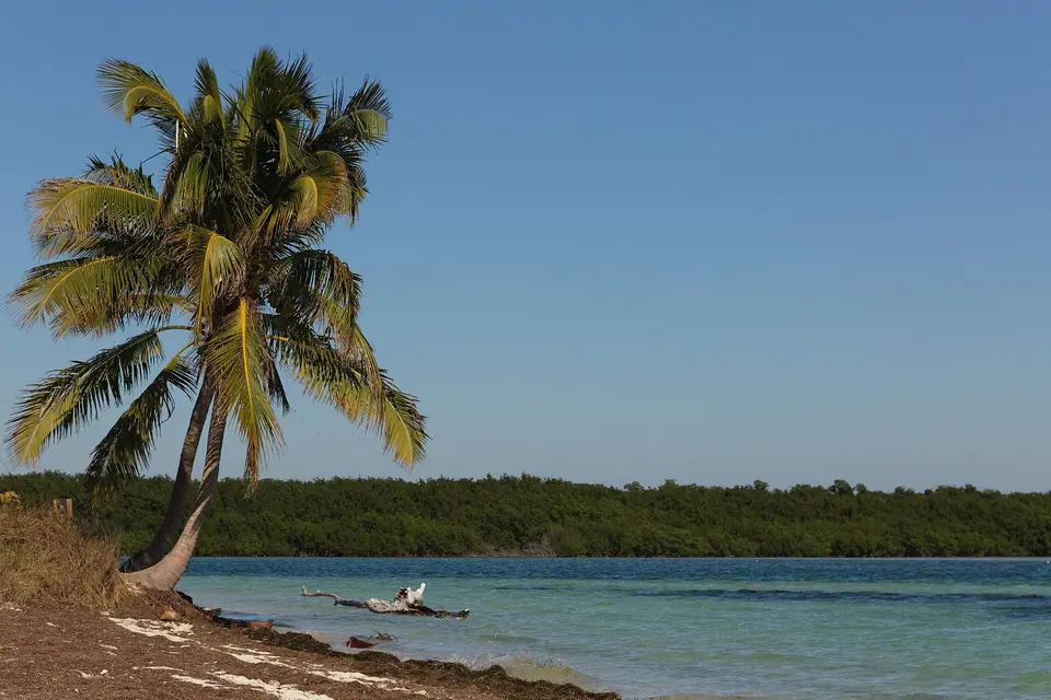 Turquoise water and a sandy shore at Bahia Honda State Park in the Lower Keys
