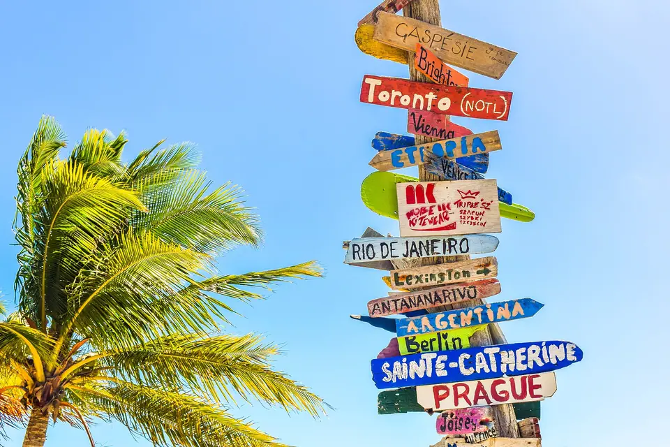 Colorful wooden direction signpost and a palm tree against a bright blue sky at Long Bay Beach, Turks and Caicos
