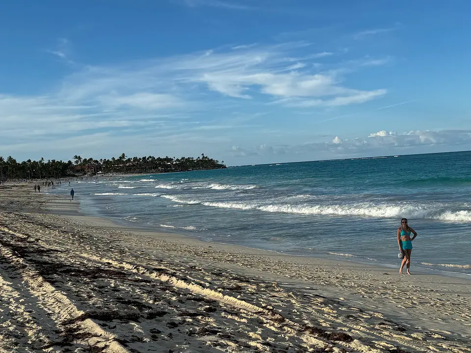 Sunny view along Playa Bávaro with palm trees and calm turquoise water