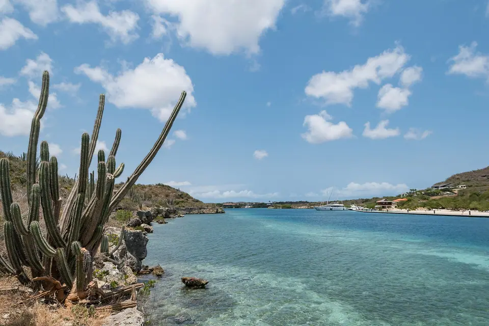 Tall cactus on a rocky shore beside the clear turquoise channel at Spanish Water near Santa Barbara, Curaçao