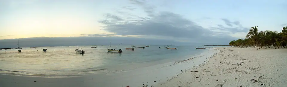 Panorama of the curving sandy bay and palm-lined shore at Akumal at sunrise