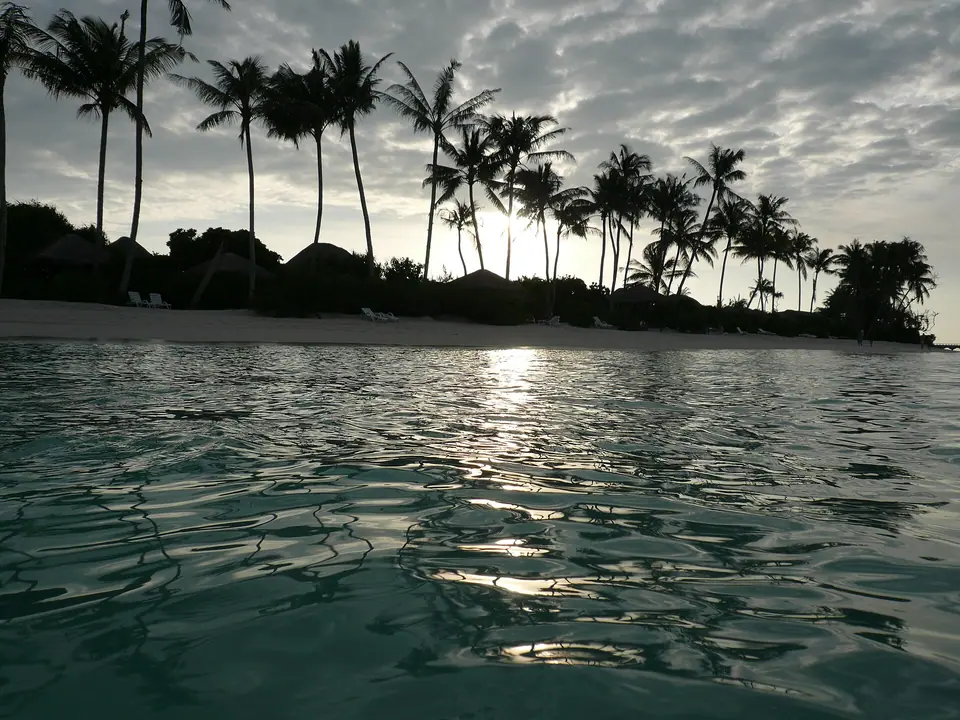 Thatched beach villas behind palm trees and white sand at Iru Fushi, Noonu Atoll