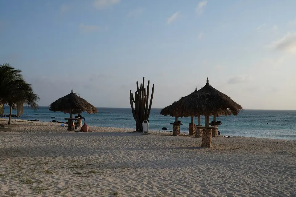 Thatched palapas and a tall cactus on the sand at Arashi Beach, Aruba, in late-afternoon light