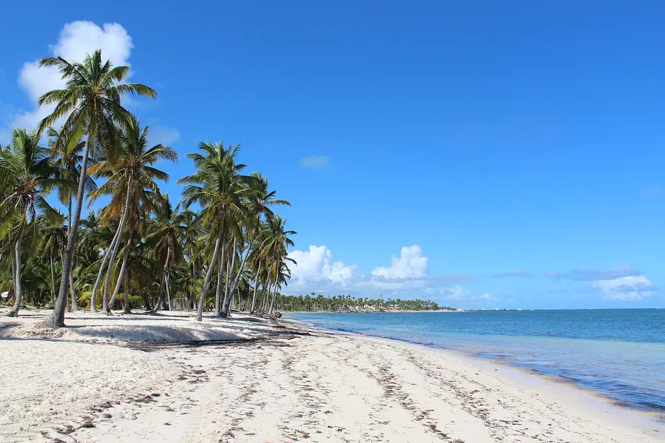 Beach at Cabeza de Toro, Punta Cana, with palms and shallow water