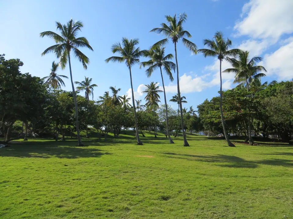 Sandy beach and palms on Cayo Levantado island in Samaná Bay