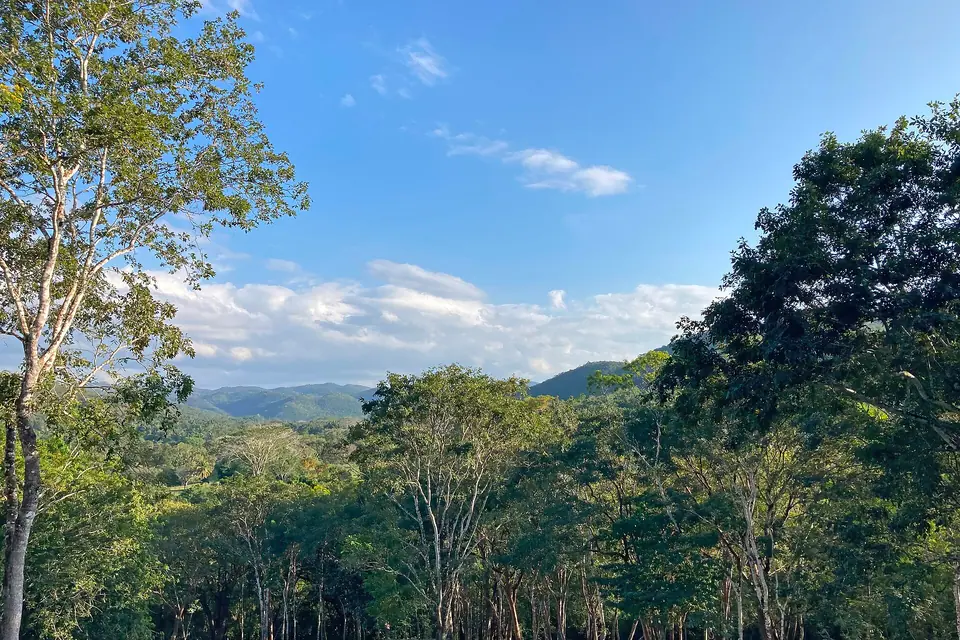 Rainforest and river scenery at Chaa Creek in Belize's Cayo District