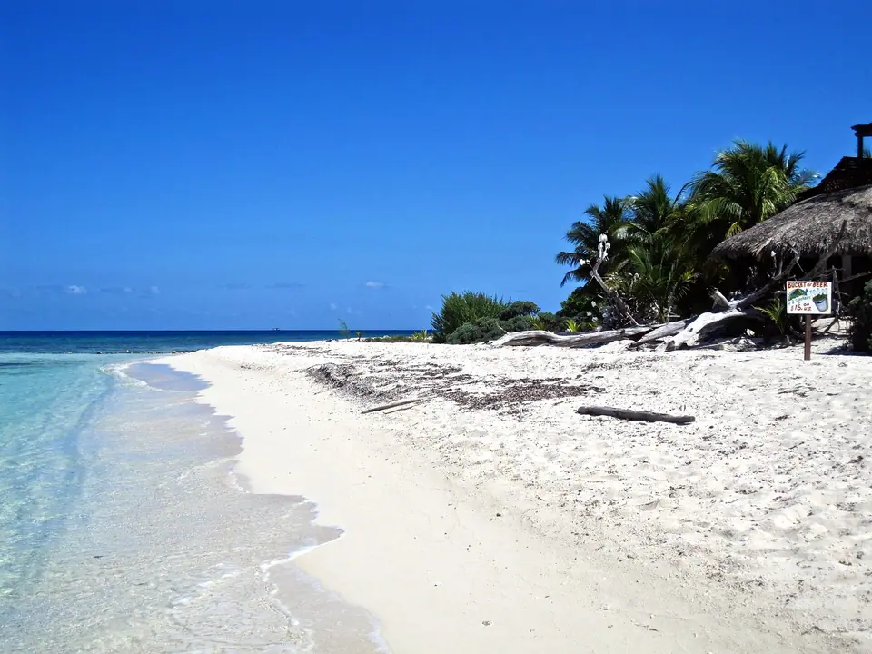 White sand beach with a thatched palapa and palm trees beside clear turquoise water on Cozumel