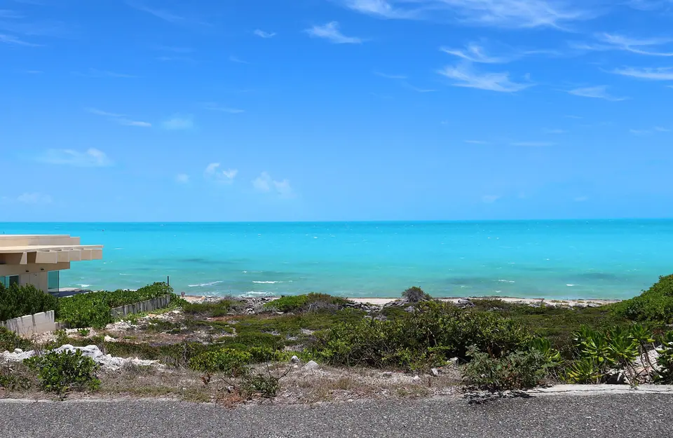 Bright turquoise water stretching to the horizon beyond low coastal scrub on Providenciales