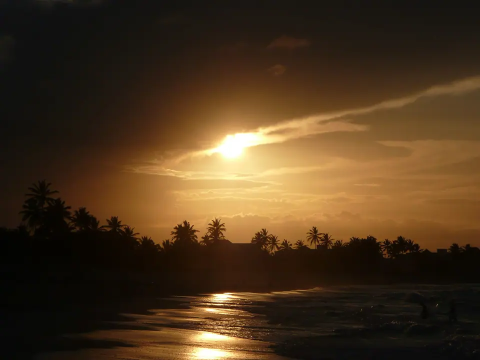 Sunset over the sea seen from a palm-lined beach in Punta Cana