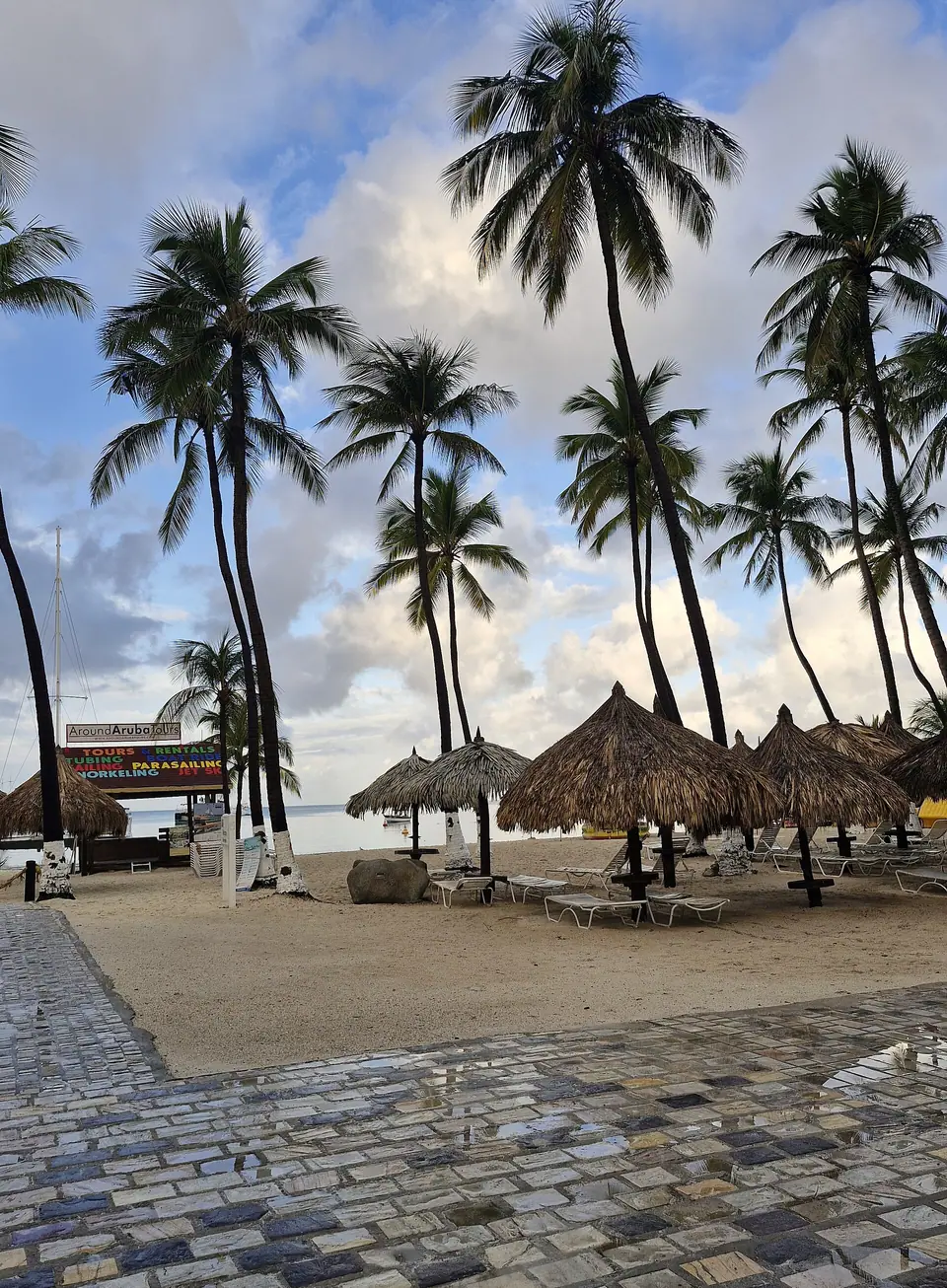Tall palm trees and thatched palapas along a cobblestone path at Palm Beach, Aruba