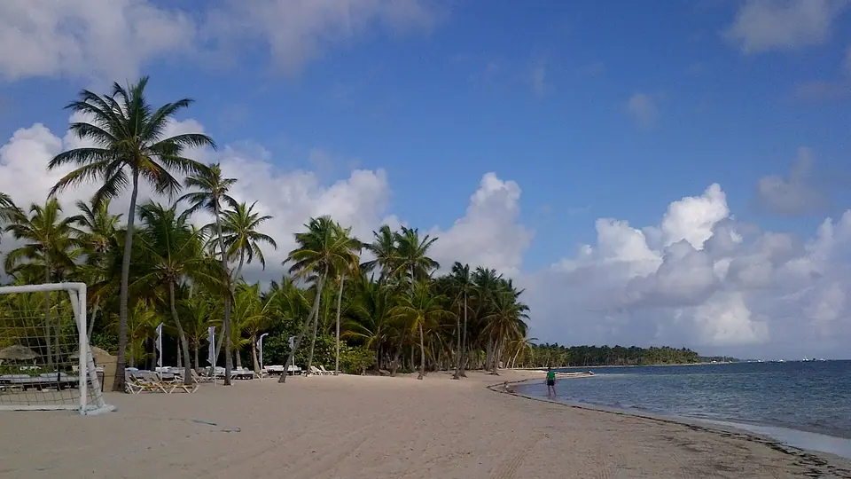 Palm-lined white-sand beach and blue water in Punta Cana, Dominican Republic