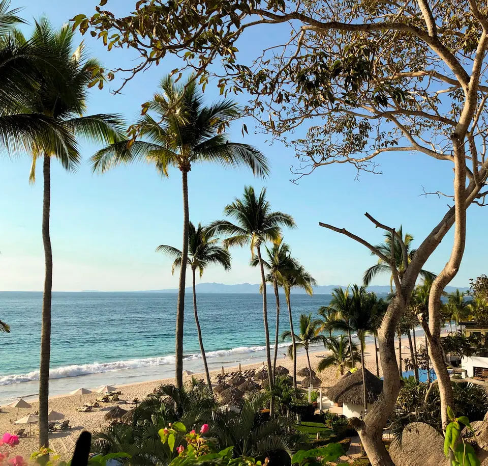 Palm trees framing an ocean view at Hyatt Ziva Puerto Vallarta