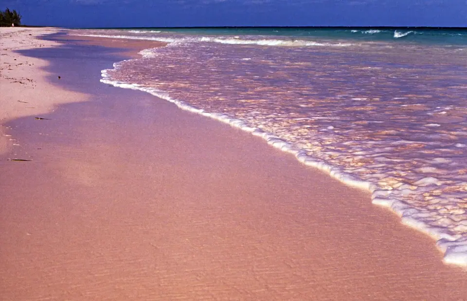 Wide pale pink sand beach with gentle surf on Harbour Island, off Eleuthera in the Bahamas