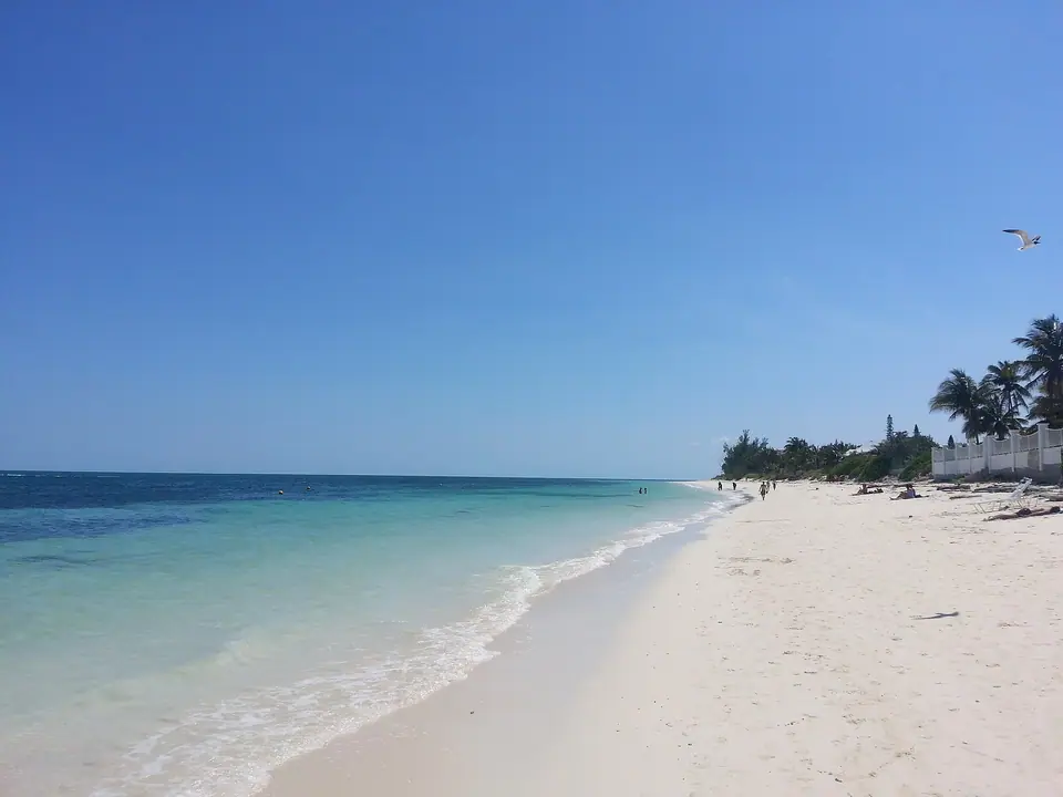 Long white-sand beach with clear shallow water and palms at Port Lucaya on Grand Bahama