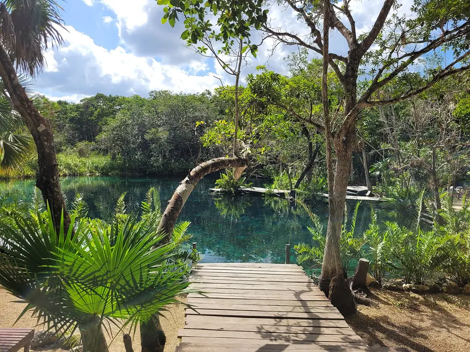 Wooden dock leading into the clear turquoise water of Cenote Corazón Paraíso, surrounded by jungle trees near Tulum