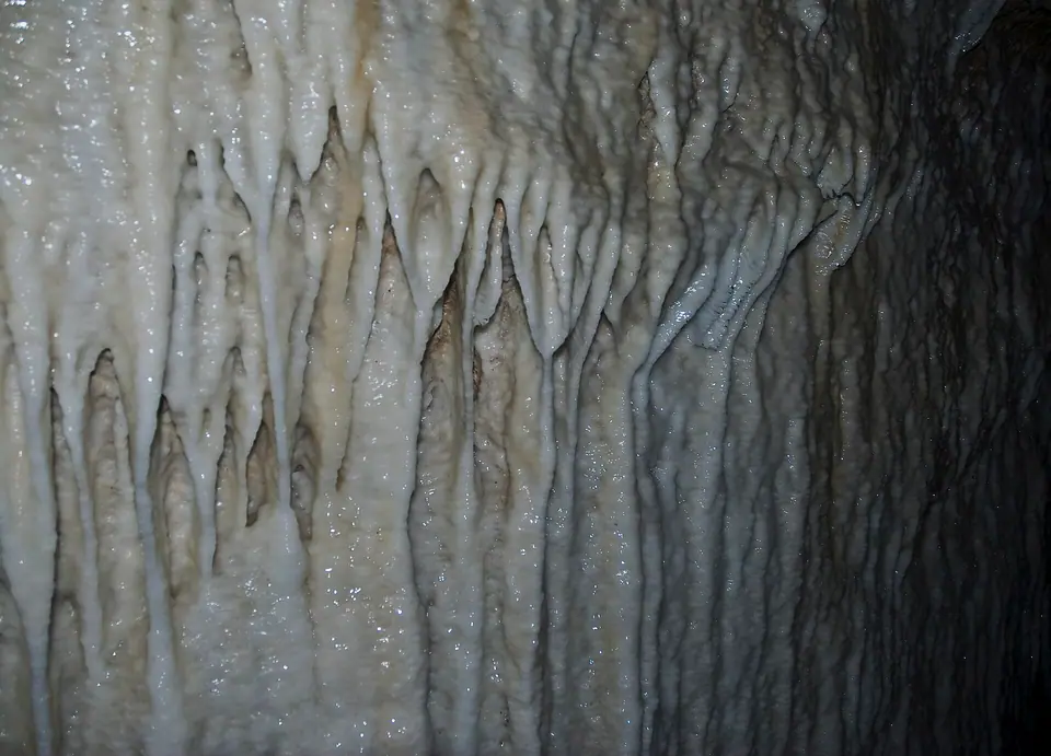 Pale limestone stalactites hanging from the ceiling of Harrison's Cave