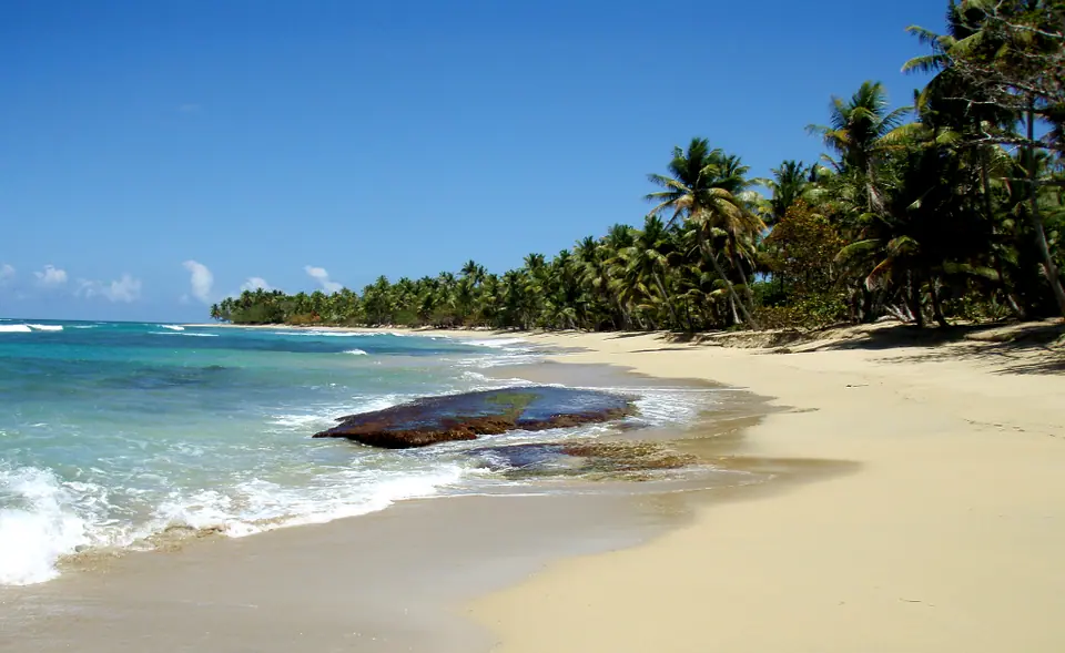 Long, empty stretch of Playa Esmeralda near Miches with palm trees along the shore