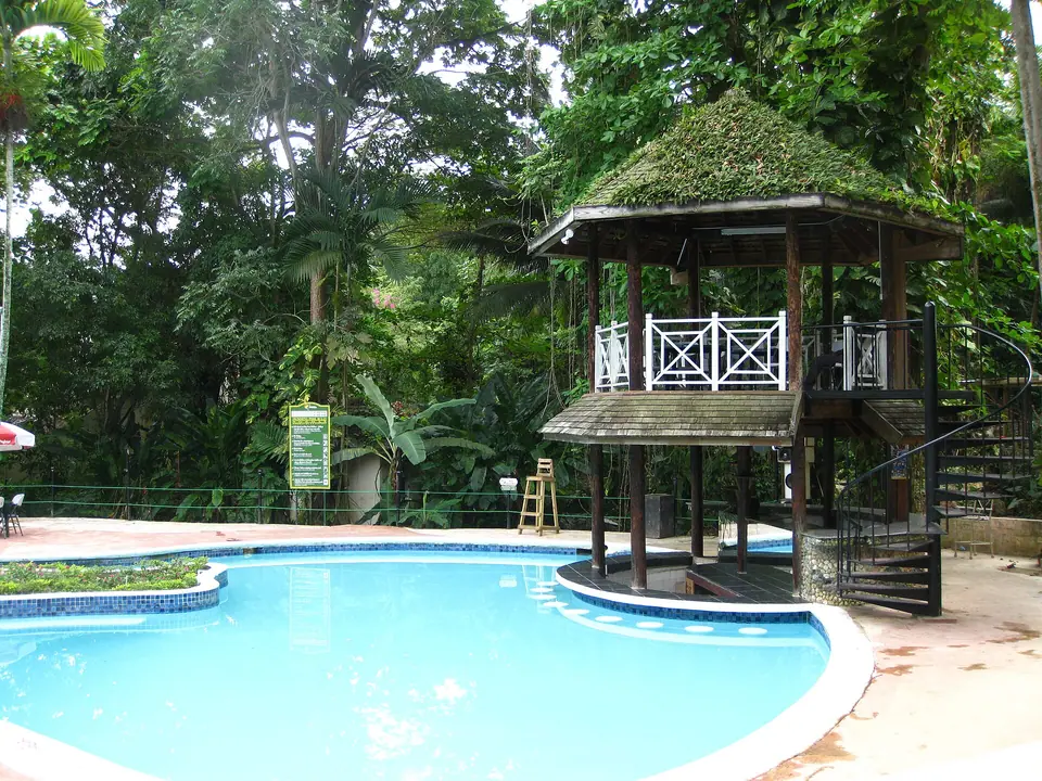 A tropical resort pool with a thatched gazebo and swim-up bar surrounded by jungle-like gardens