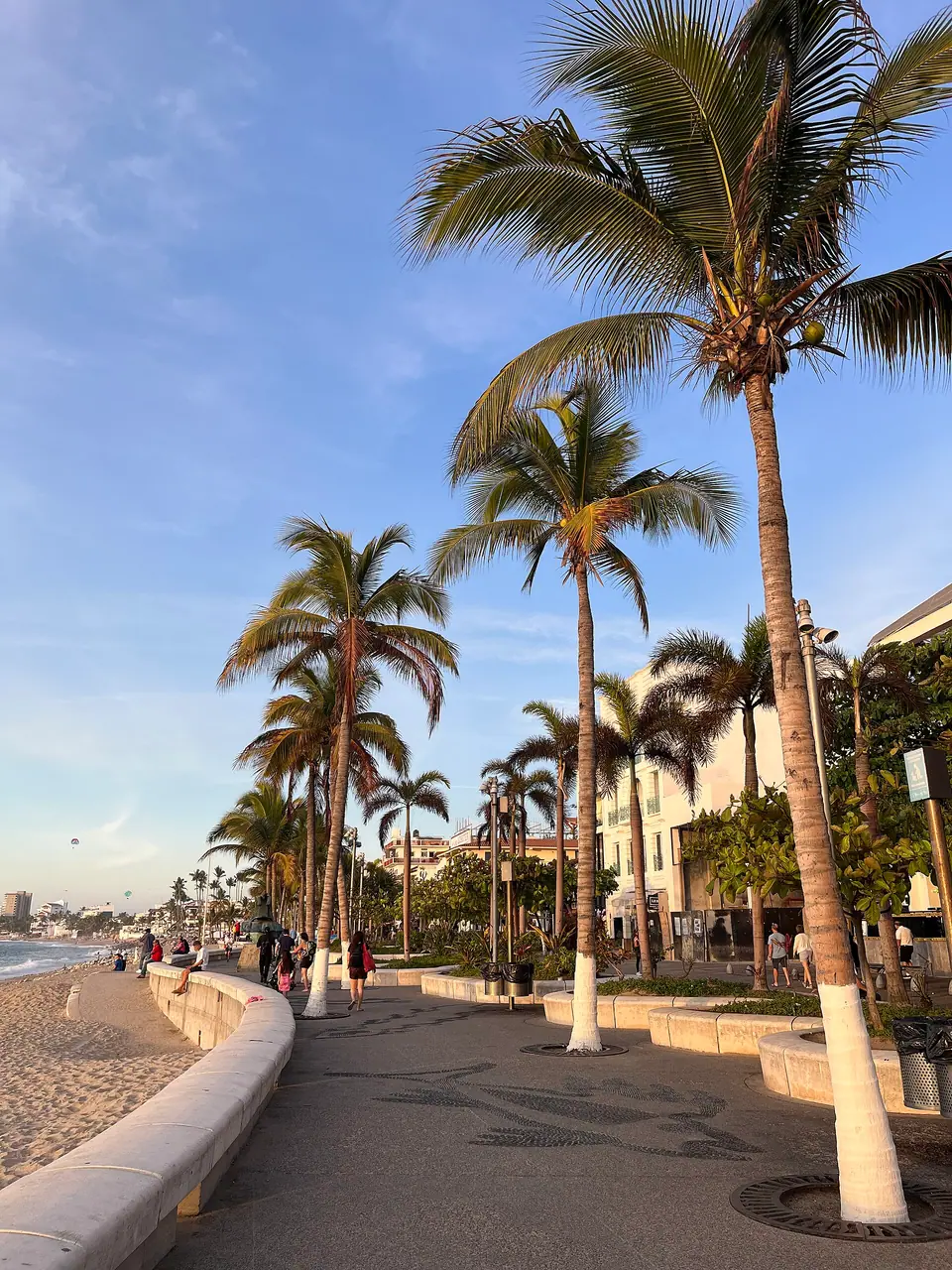 Palm-lined Malecon boardwalk along the seafront in downtown Puerto Vallarta