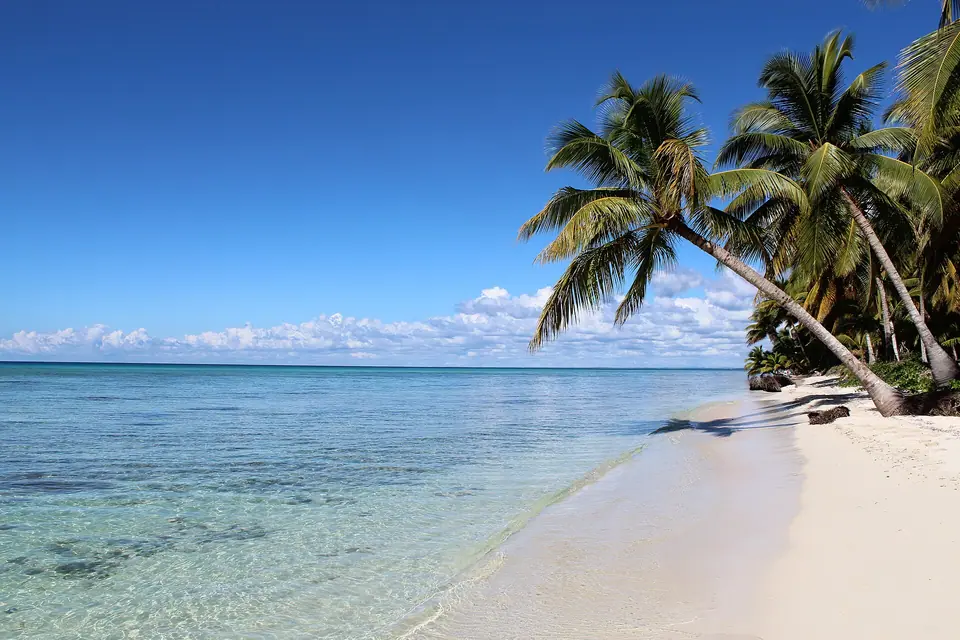 Palm trees and shallow turquoise water on Saona Island off the Dominican Republic's south-east coast