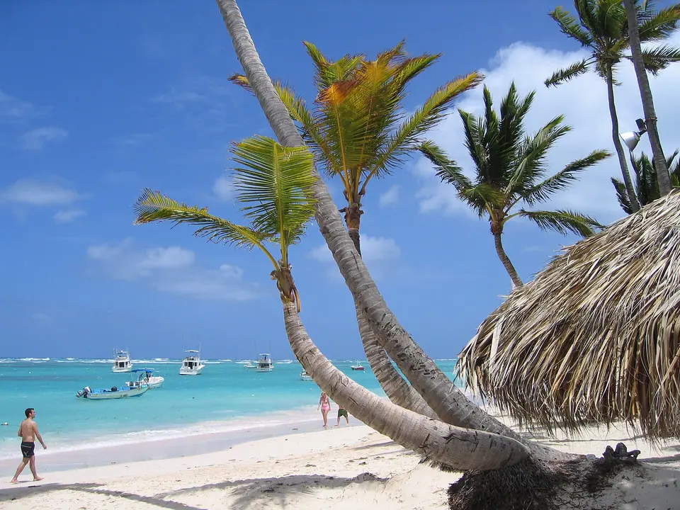 Palm trees and pale sand along Bávaro Beach in Punta Cana