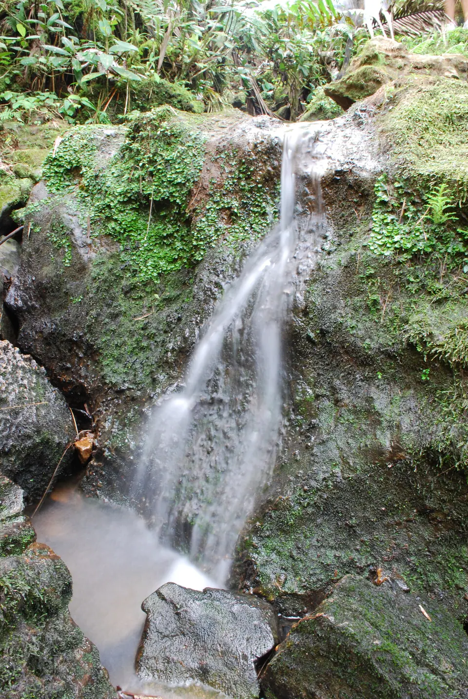 Waterfall tumbling over rocks in El Yunque National Forest, Puerto Rico