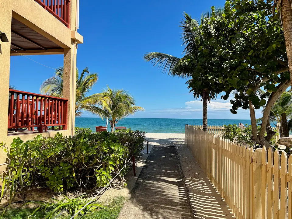Sandy path lined with palms leading to the beach in Placencia, Belize
