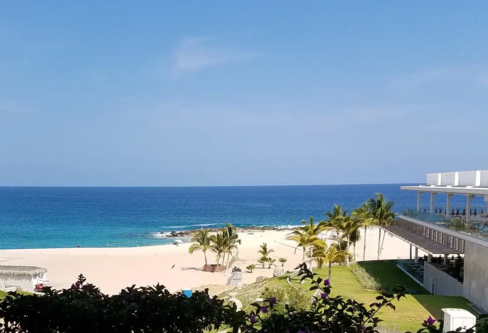 Palm-lined lawn and sandy beach in San José del Cabo seen from a resort building, with the sea beyond